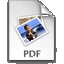 Icon for a PDF file
